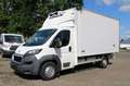 Peugeot Boxer Pritsche 435 L4 BlueHDi 160 Wit - thumbnail 1
