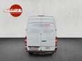 Mercedes-Benz Sprinter 313 CDI|Kasten|L2H2|MOTORSCHADEN  !!!!! bijela - thumbnail 15