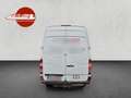 Mercedes-Benz Sprinter 313 CDI|Kasten|L2H2|MOTORSCHADEN  !!!!! bijela - thumbnail 7
