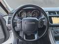 Land Rover Range Rover Sport 3,0 TDV6 HSE Weiß - thumbnail 14