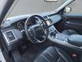 Land Rover Range Rover Sport 3,0 TDV6 HSE Weiß - thumbnail 12