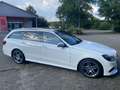Mercedes-Benz E 300 T BlueTEC 9G-TRONIC Avantgarde White - thumbnail 3