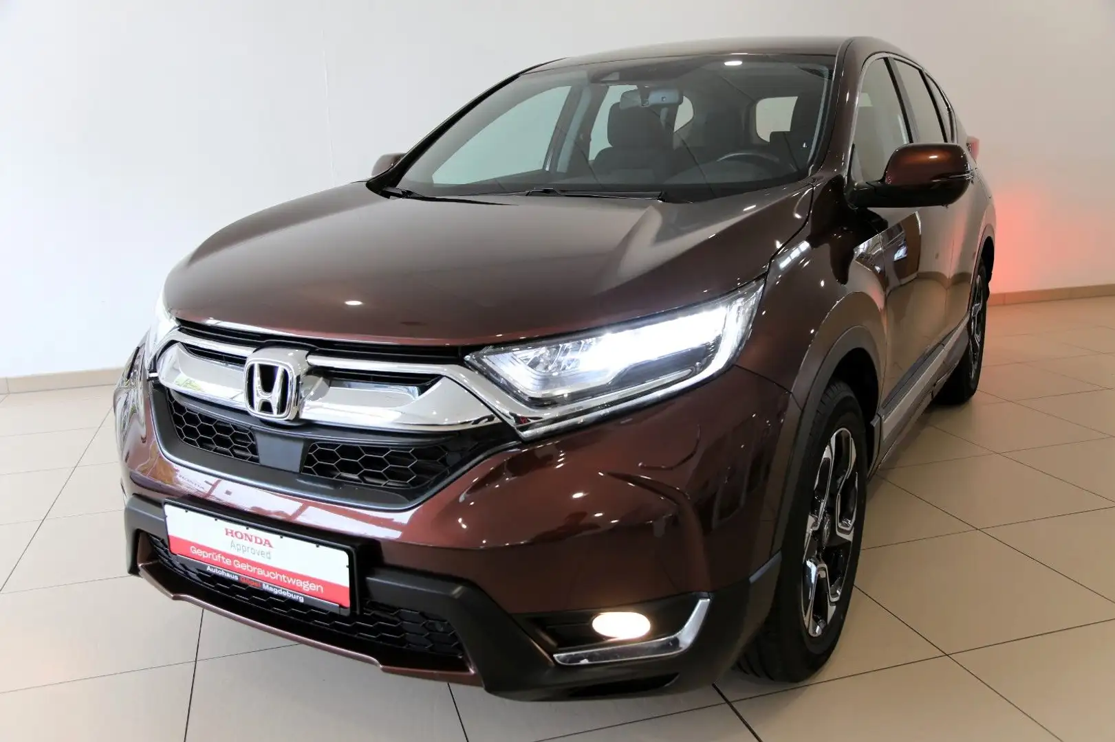 Honda CR-V 1.5 T 2WD Elegance Braun - 1