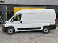 Fiat Ducato 35+ L2H2 BlueHDi 140 S&S Weiß - thumbnail 3