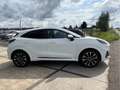 Ford Puma 1.0 EcoBoost Hybrid ST-Line X Panoramadak | Stoel- Wit - thumbnail 4