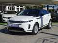Land Rover Range Rover Evoque 2.0D I4 MHEV SE AWD Aut. 163 Blanco - thumbnail 9