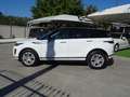 Land Rover Range Rover Evoque 2.0D I4 MHEV SE AWD Aut. 163 Blanco - thumbnail 8