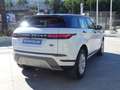 Land Rover Range Rover Evoque 2.0D I4 MHEV SE AWD Aut. 163 Blanco - thumbnail 5