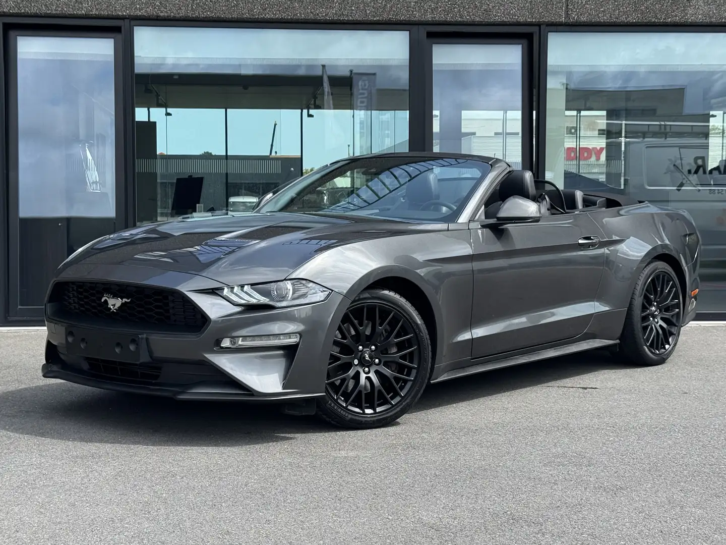 Ford Mustang Cabrio 2.3 EcoBoost - 290 PK **AUTOMAAT** Gris - 1