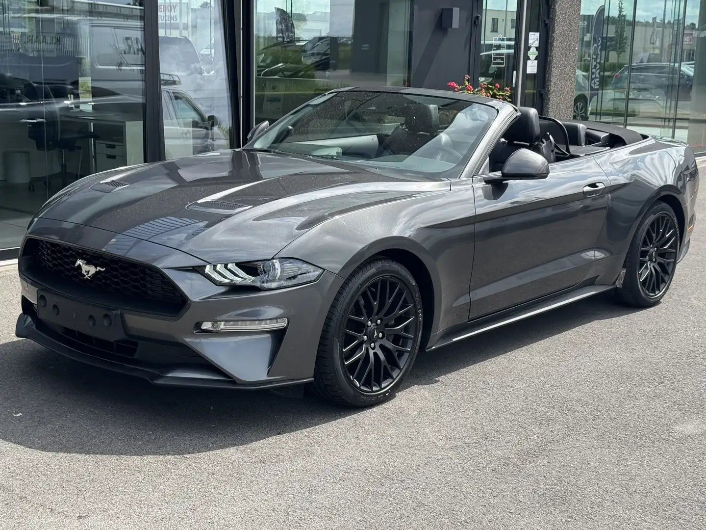 Ford Mustang Cabrio 2.3 EcoBoost - 290 PK **AUTOMAAT** Gris - 2