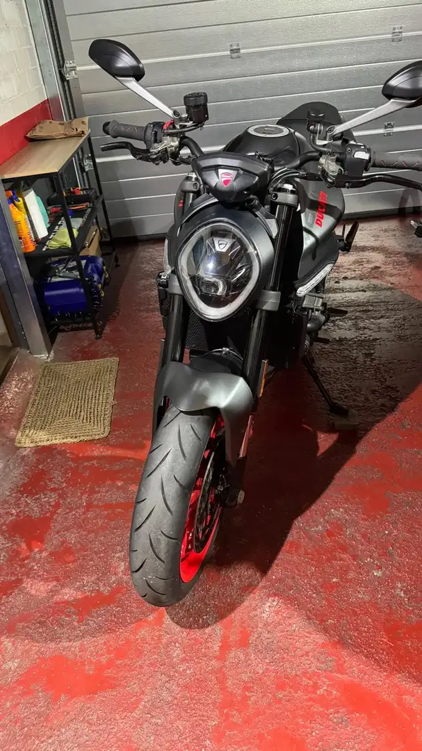 Ducati Monster 937 Gris - 1