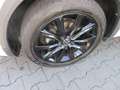 Volkswagen T-Roc Cabrio R-Line 1.5 TSI DSG NAVI STANDHZG ALU 19 IQ LIGHT BEATS ACC ASSIST KAMERA SITZHEIZUNG BLACK STYLE KLIMA Weiß - thumbnail 7