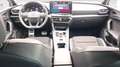 CUPRA Leon BERLINA CON PORTON 1.5 ETSI MHEV 110KW DSG 150 5P Blanco - thumbnail 11