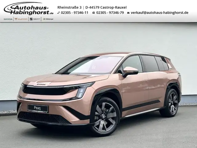 Skoda Autres 90x Sportline-91 kWh-7 Sitzer DCC ACC AHK Sonos Ma