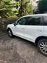 Porsche Cayenne DIESEL Blanc - thumbnail 2