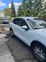 Porsche Cayenne DIESEL Blanc - thumbnail 6