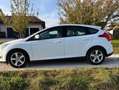 Ford Focus Focus Traveller Van Easy 1,0 EcoBoost Easy Weiß - thumbnail 10