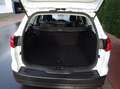 Ford Focus Focus Turnier 1.0 EcoBoost Start-Stopp-System Busi Blanc - thumbnail 6