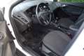 Ford Focus Focus Turnier 1.0 EcoBoost Start-Stopp-System Busi Weiß - thumbnail 5