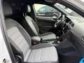 Volkswagen Tiguan Highline 2.0TDI R-Line DYNAUDIO LED KAM Weiß - thumbnail 10