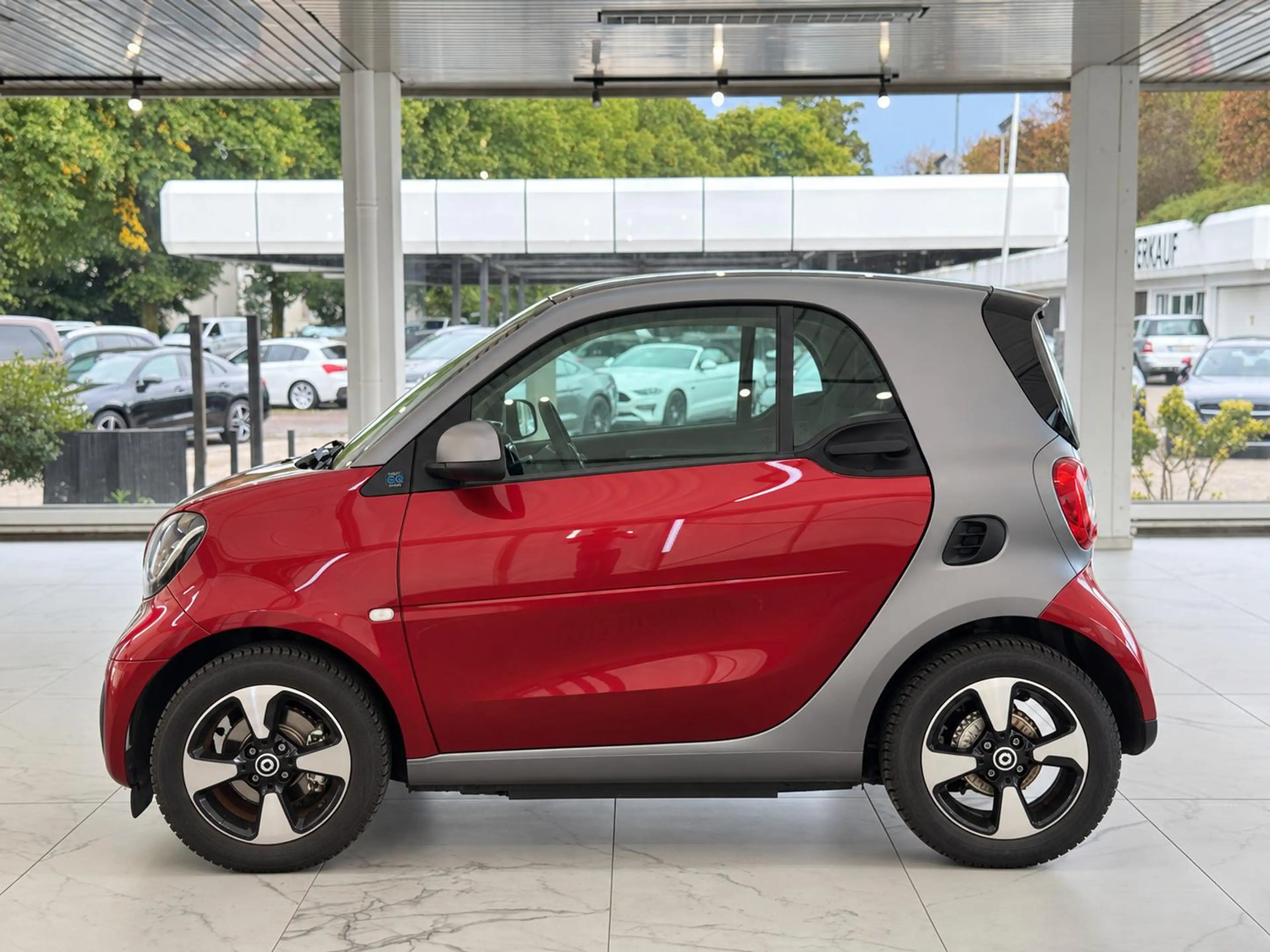 smart forTwo EQ PASSION*MATTLACK*SITZHEIZ+LENK*WINTER* — photo 3