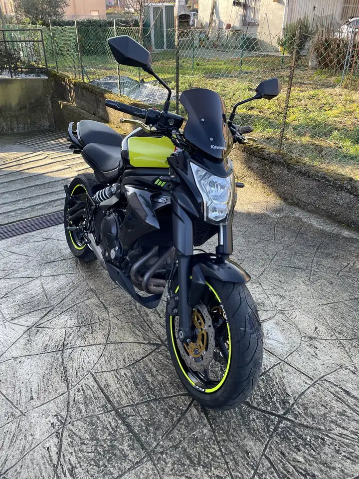 Kawasaki ER