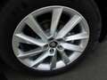 Skoda Kamiq 1.5 TSI Premium/LED/Navi/Klimaautom/Kamera Grau - thumbnail 14