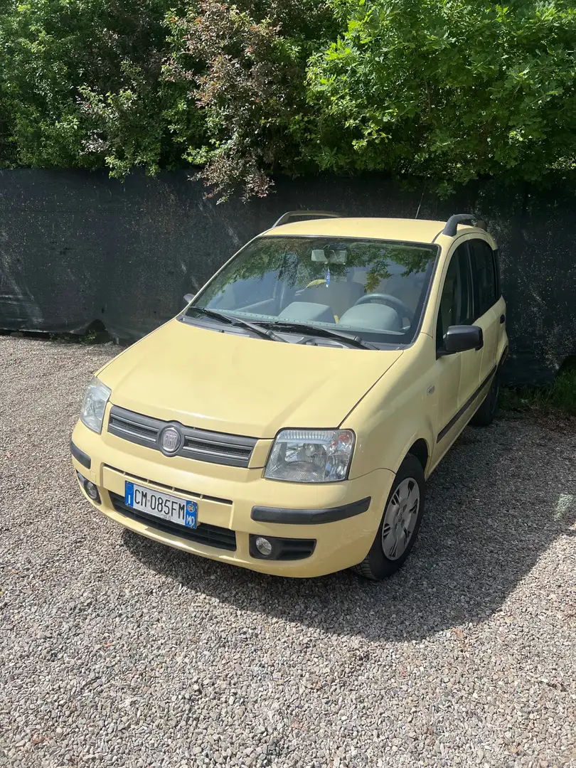 Fiat Punto 5p 1.2 Active Yellow - 1