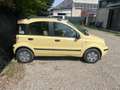 Fiat Punto 5p 1.2 Active Yellow - thumbnail 7