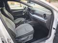 SEAT Ibiza 1.0 TSI S&S Xcellence 115 Blanco - thumbnail 21