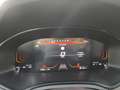 SEAT Ibiza 1.0 TSI S&S Xcellence 115 Blanco - thumbnail 9