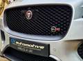 Jaguar F-Pace F-Pace  SVR  lichte vracht en BTW aftrekbaar - thumbnail 16