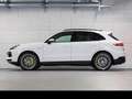 Porsche Cayenne E-Hybrid Platinum auch andere kurzfristig Blanc - thumbnail 4