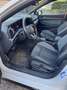 Volkswagen Golf Golf VIII 2020 2.0 tdi R-Line 4motion 150cv dsg Bianco - thumbnail 6