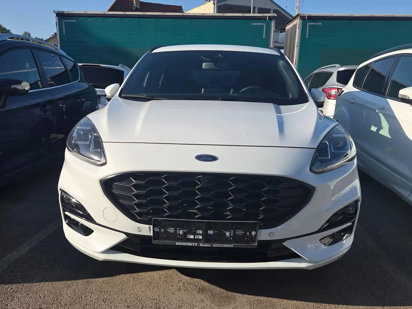 Ford Kuga ST-Line X Weiß - 2