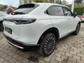 Honda e:Ny1 Advance- Navi - Leder - PDC - Kamera - ACC Weiß - thumbnail 4