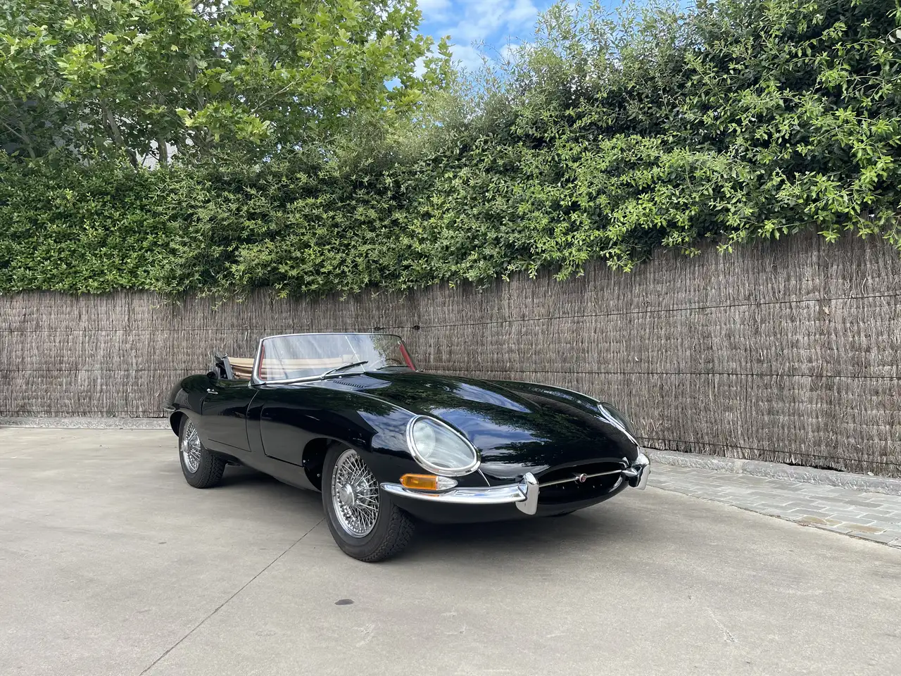 Jaguar E-Type Serie 1, foto 5