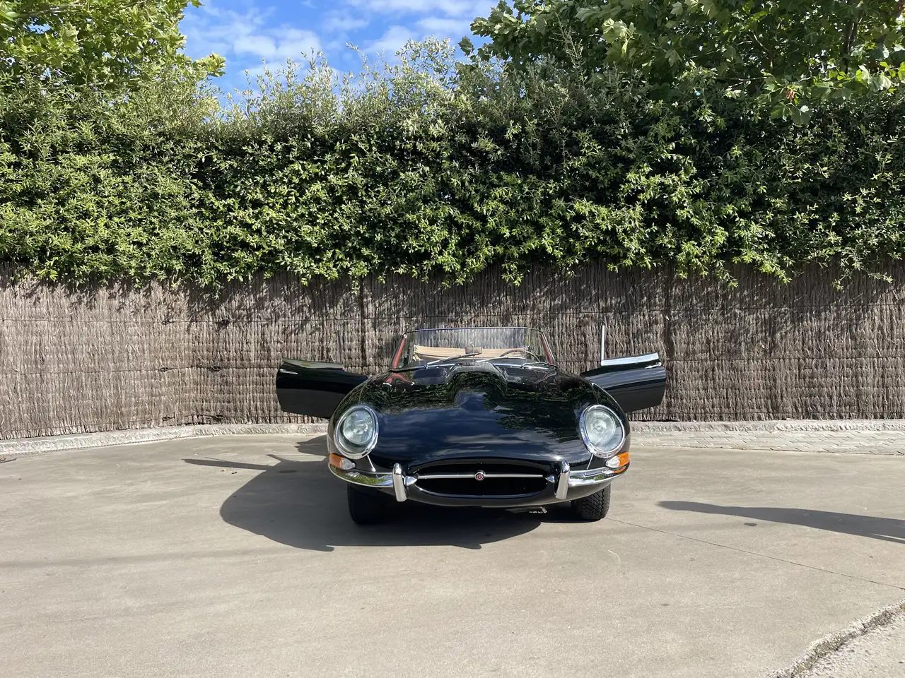 Jaguar E-Type Serie 1, foto 4
