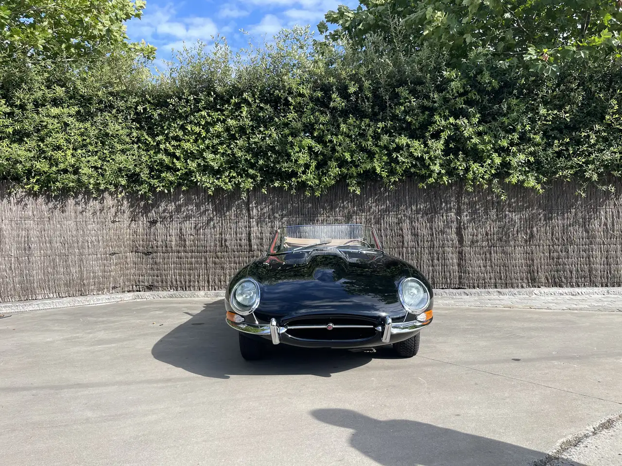 Jaguar E-Type Serie 1, foto 7