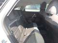 Citroen C4 PureTech 130 Shine Weiß - thumbnail 15