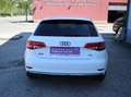 Audi A3 SB-design - Pickerl bis 02.2027 - Teilleder ! Weiß - thumbnail 12