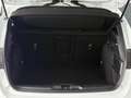 Ford Focus Lim. ST-Line *LED*ACC*CAR-PLAY*MFL*R-KAM* Weiß - thumbnail 12