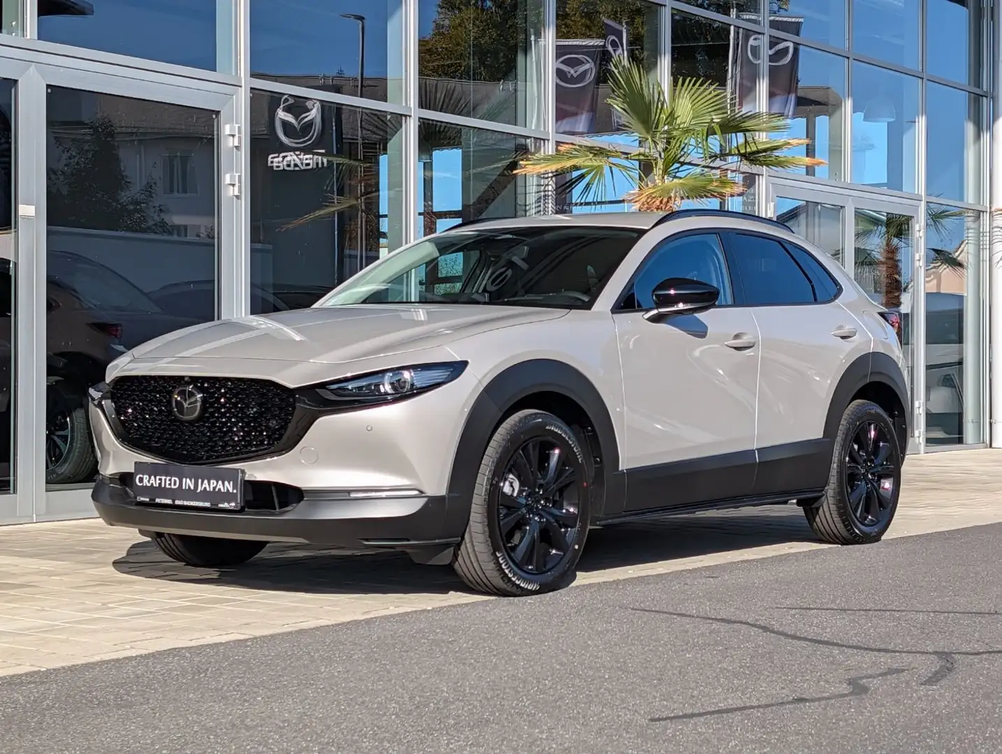 Mazda CX-30 2.5 G140 6AT HOMURA PLUS Leder Silber - 2
