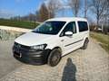 Volkswagen Caddy Caddy Kombi Trendline 2,0 TDI DSG Trendline Weiß - thumbnail 1