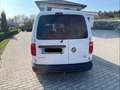 Volkswagen Caddy Caddy Kombi Trendline 2,0 TDI DSG Trendline Weiß - thumbnail 7