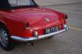 Alfa Romeo Giulietta 1300 SPIDER Rot - thumbnail 7