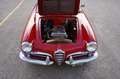 Alfa Romeo Giulietta 1300 SPIDER Rot - thumbnail 5