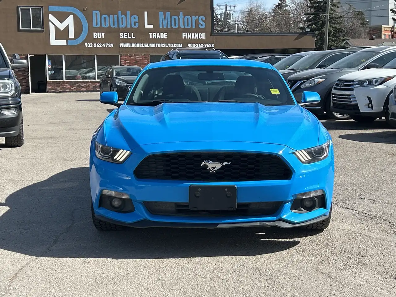Ford Mustang снимка Ford Mustang