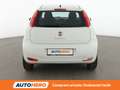 Fiat Punto 1.3 JTD DPF Street 75 CV Blanco - thumbnail 5