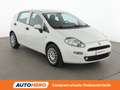 Fiat Punto 1.3 JTD DPF Street 75 CV Blanco - thumbnail 8